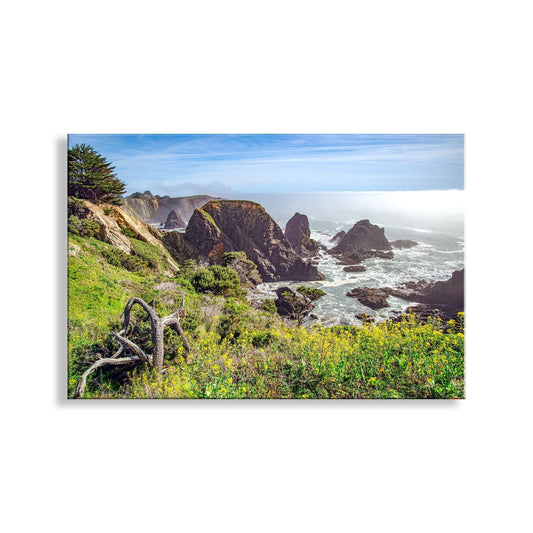 Mendocino Coast Art Print at Fort Bragg California