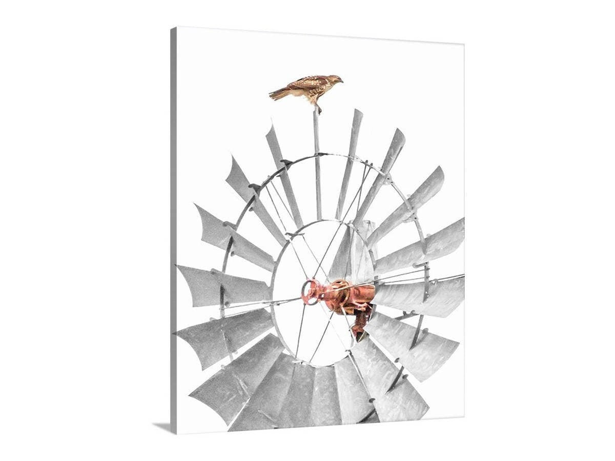 Hawk and Windmill Minimalist Art Print – Sonoita Arizona Ranch Scene