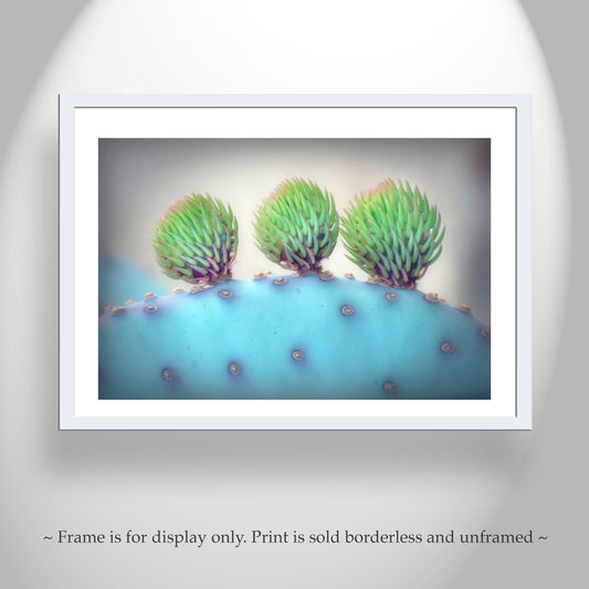 Purple Santa Rita Prickly Pear Cactus Art Print by Murray Bolesta