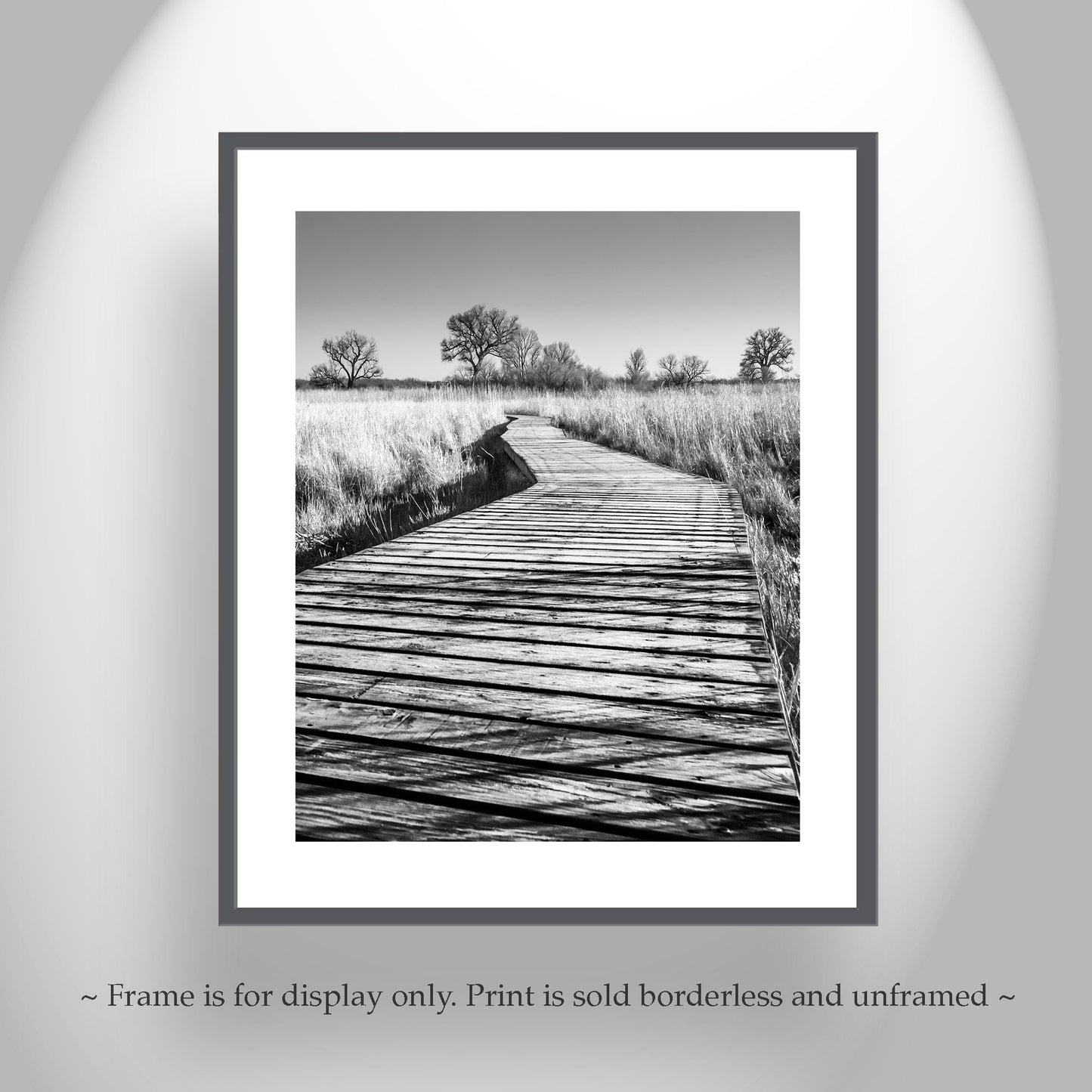 Surreal Black & White Boardwalk Art Print | Arivaca Cienega Arizona