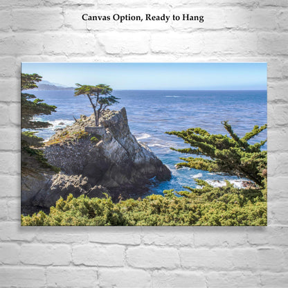 Carmel by the Sea Art Photography Print with Lone Cypress