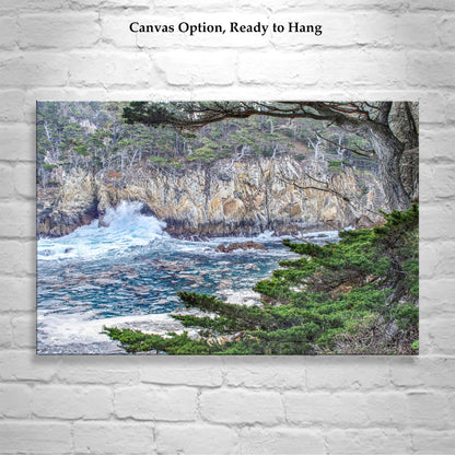Carmel California Point Lobos Photography Wall Art Print | Big Sur