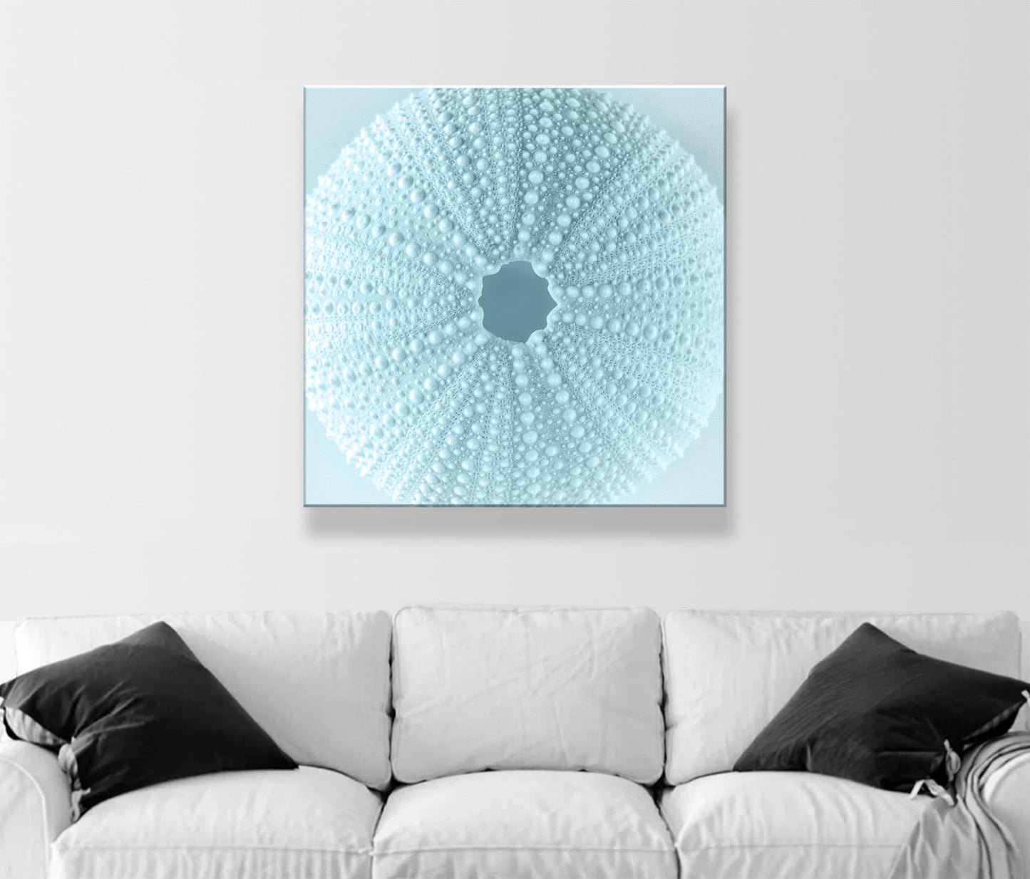 Sea Urchin Seashell in Pastel Blue as Bath Decor Gift Art