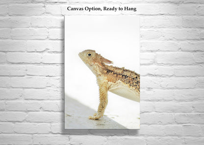 Horned Lizard Art Art Print | Minimalist Arizona Desert Reptile
