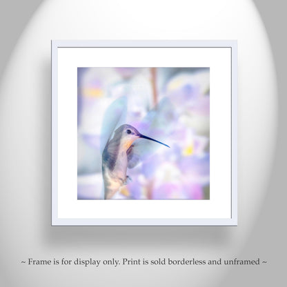 Hummingbird in Flight Art in Pastel Blue | Gift for Bird Lovers