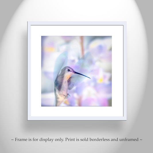 Hummingbird in Flight Art in Pastel Blue | Gift for Bird Lovers