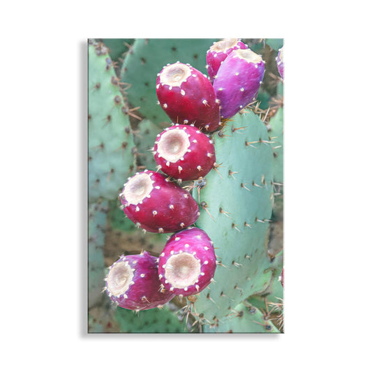 Southwestern Cactus Wall Art – Santa Rita Prickly Pear Print