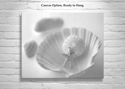 Minimalist Seashell and Starfish Art – Coastal Wall Print for Bath