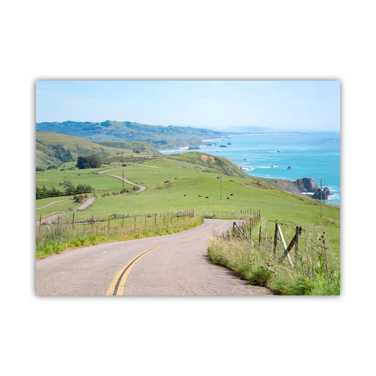 Mendocino Coast Sonoma Coast Bodega Bay Art Print