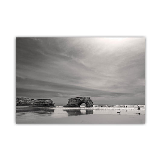 Santa Cruz California Beach and Natural Bridge Art Print Wall Decor