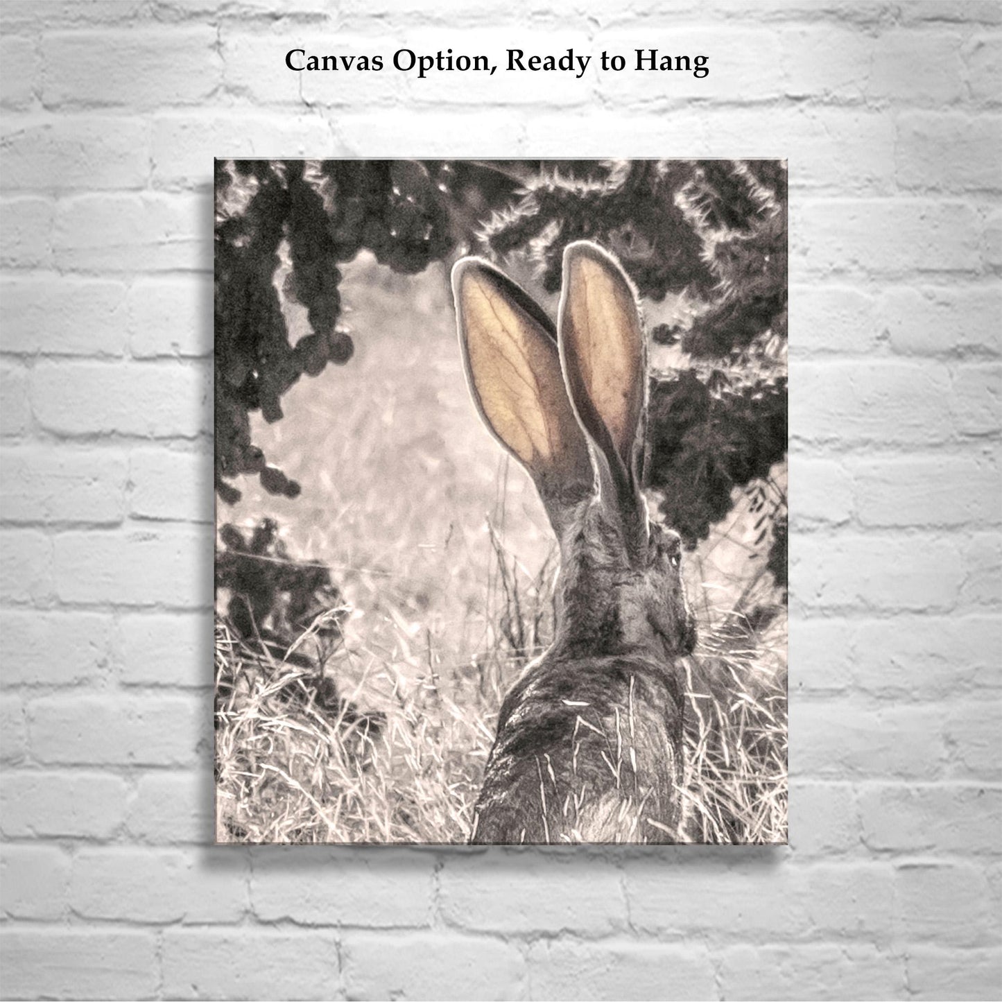 Desert Jackrabbit Art Print | Arizona Wildlife Art | Cholla Cactus