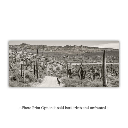 Redington Pass Desert Road with Saguaro – Tucson Art Photograph