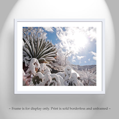 Desert Snow Canvas Art with Agave Plant in Arizona Winter