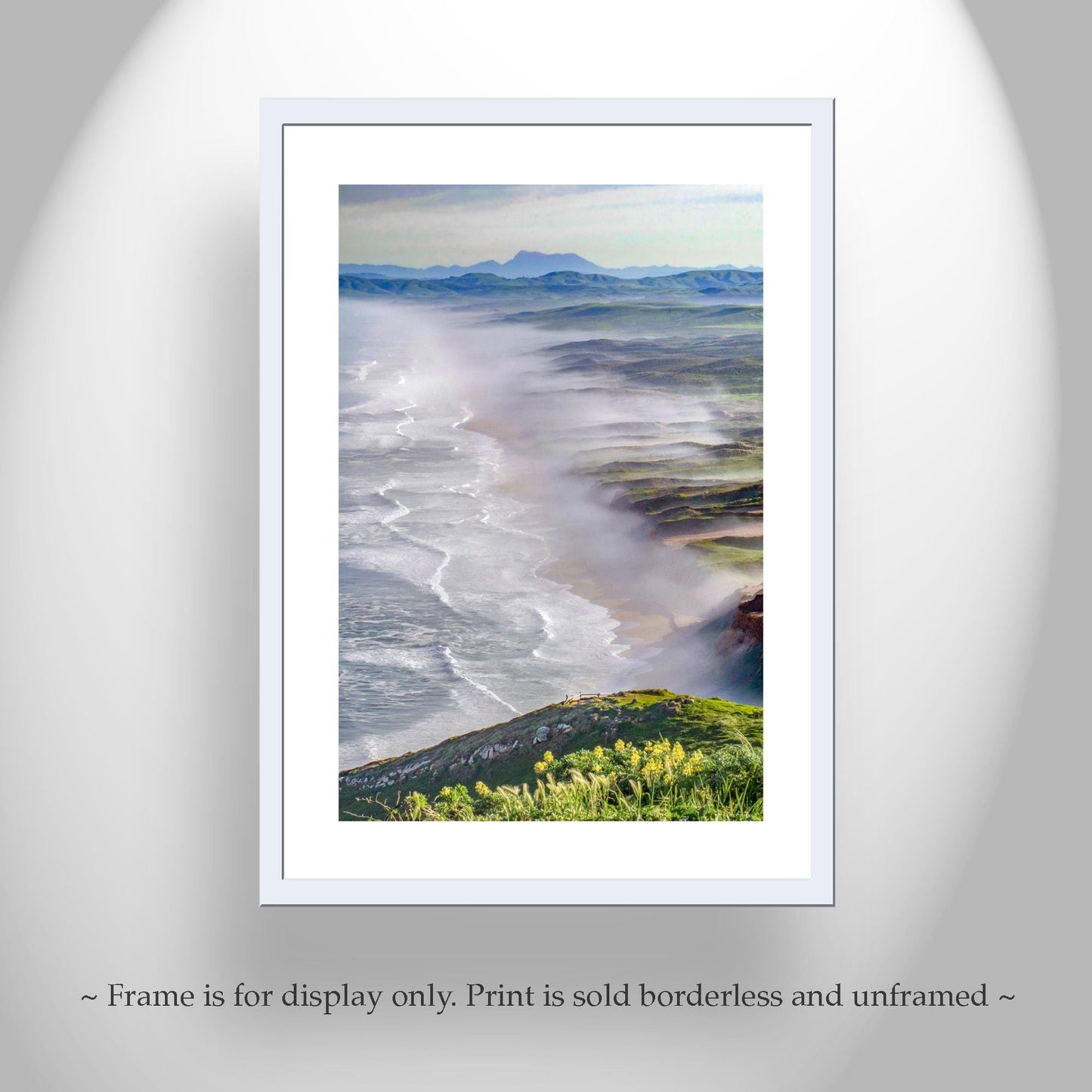 Point Reyes Seashore Marin Coast Art Print | California Beach Wildflowers