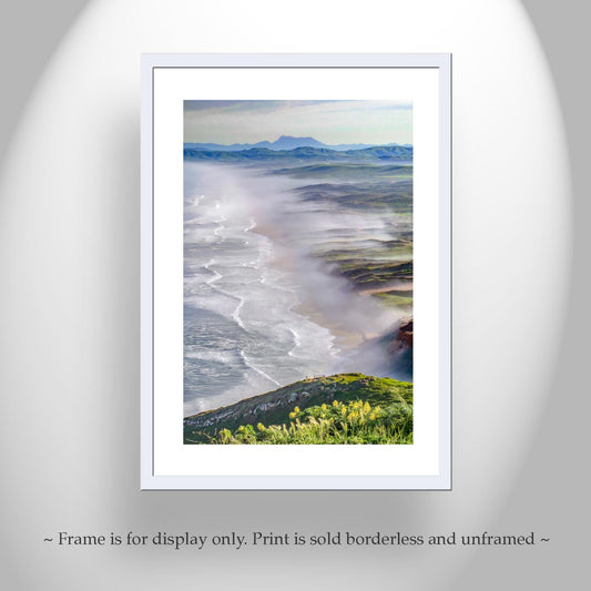 Point Reyes Seashore Marin Coast Art Print | California Beach Wildflowers