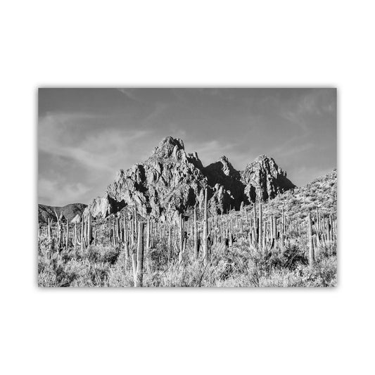 Arizona Desert Landscape Art Print in Black and White with Saguaro Cactus | Mounted Canvas or Traditional Print