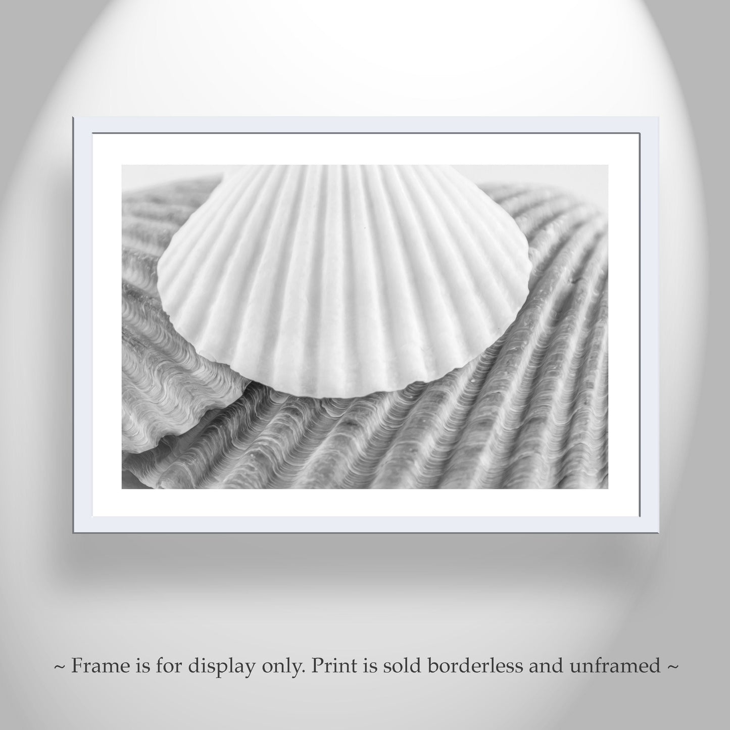 Seashells Wall Decor for Bathroom in Black and White