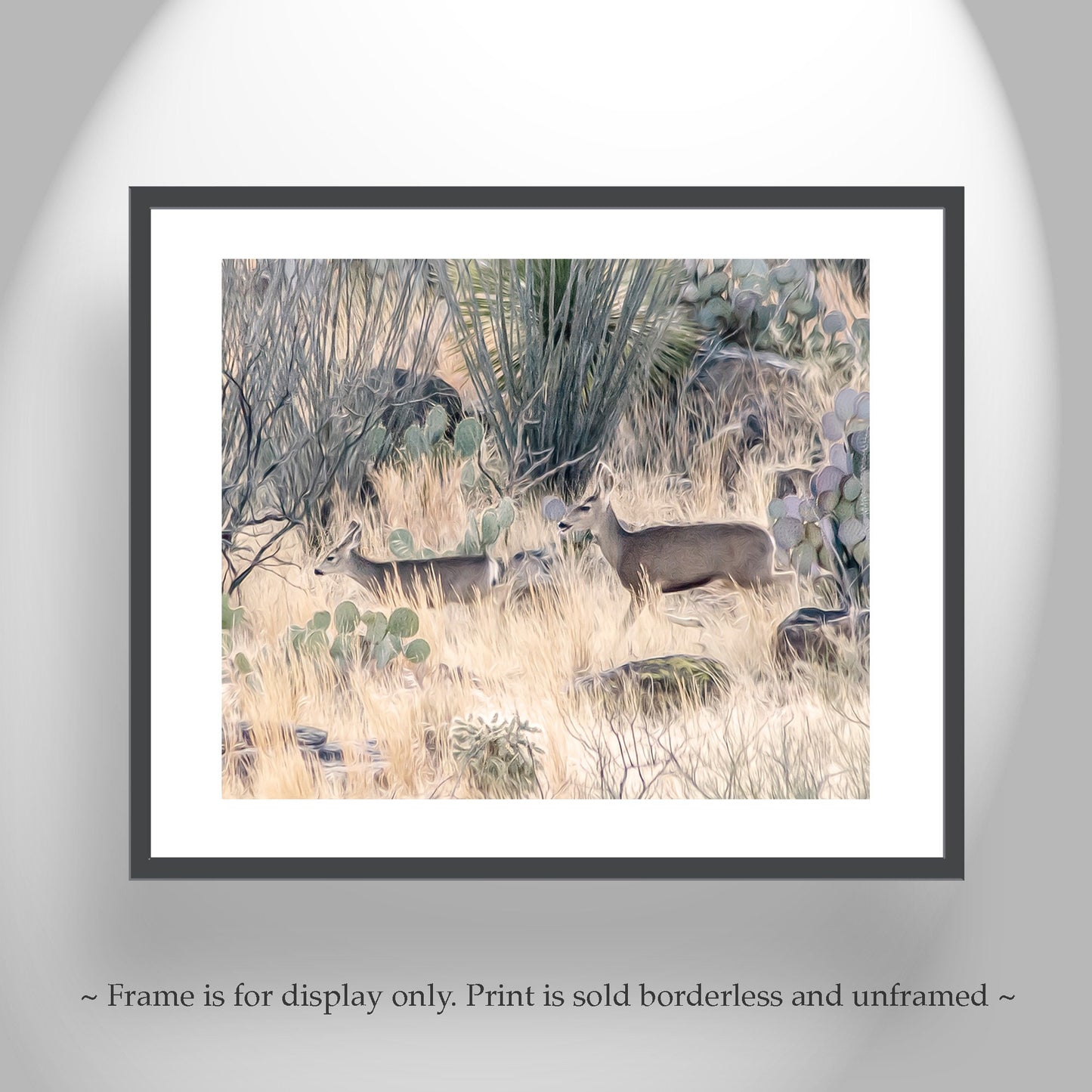 Southwest Ocotillo and Deer Art Print – Tucson Wildlife Decor