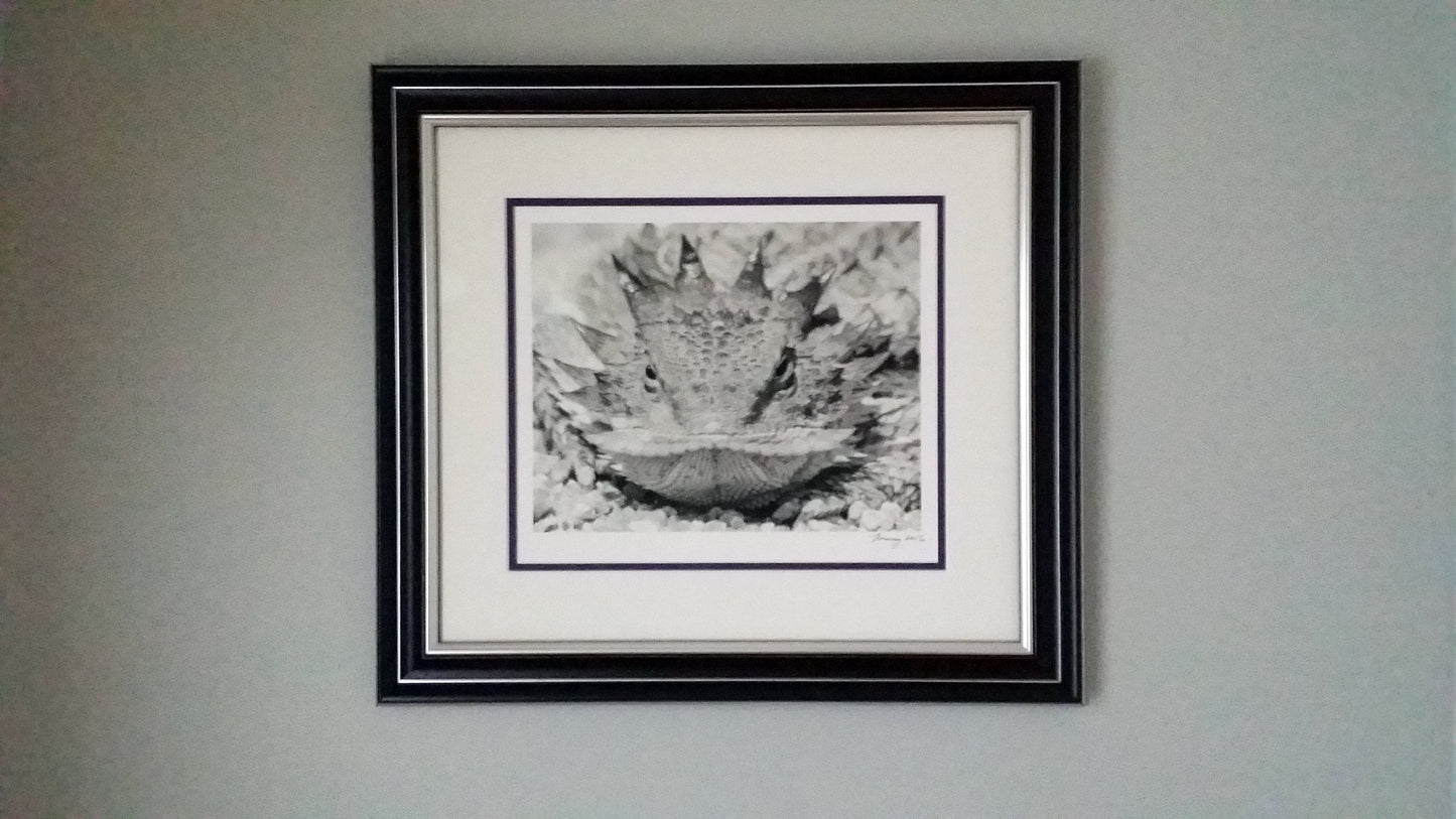 Horned Lizard Art Print in Black and White