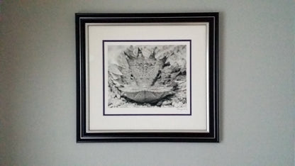 Horned Lizard Art Print in Black and White