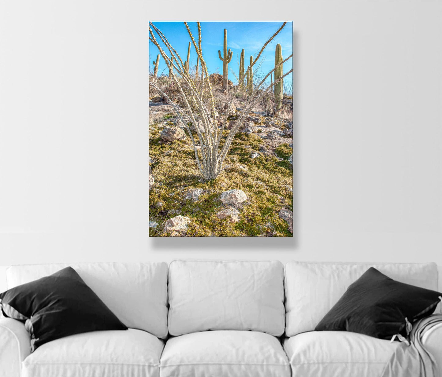 Ocotillo and Saguaro Cactus Landscape in Spring | Arizona Desert Art