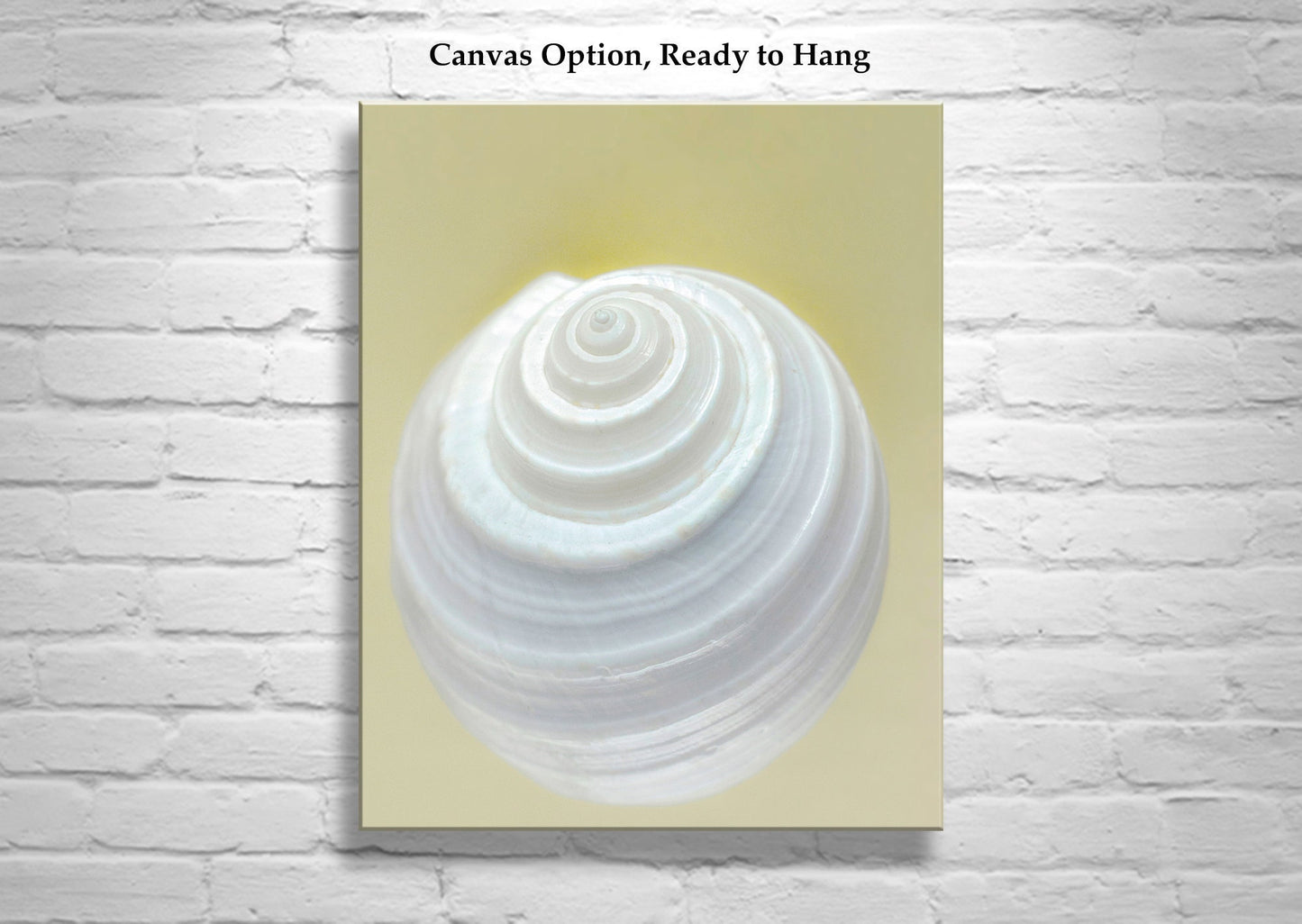 Seashell Wall Decor | Elegant Bathroom Wall Art on Framed Canvas