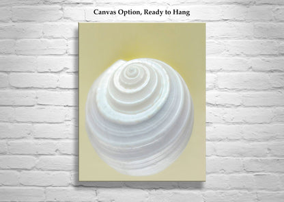 Seashell Wall Decor | Elegant Bathroom Wall Art on Framed Canvas