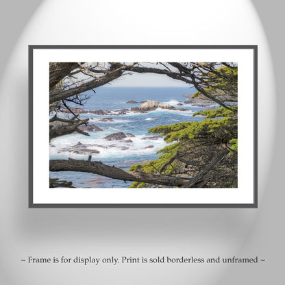 Carmel by the Sea Art Print | Point Lobos with Monterey Cypress Trees