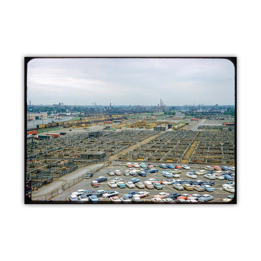 Vintage Chicago Picture of Union Stockyards at Mid Century