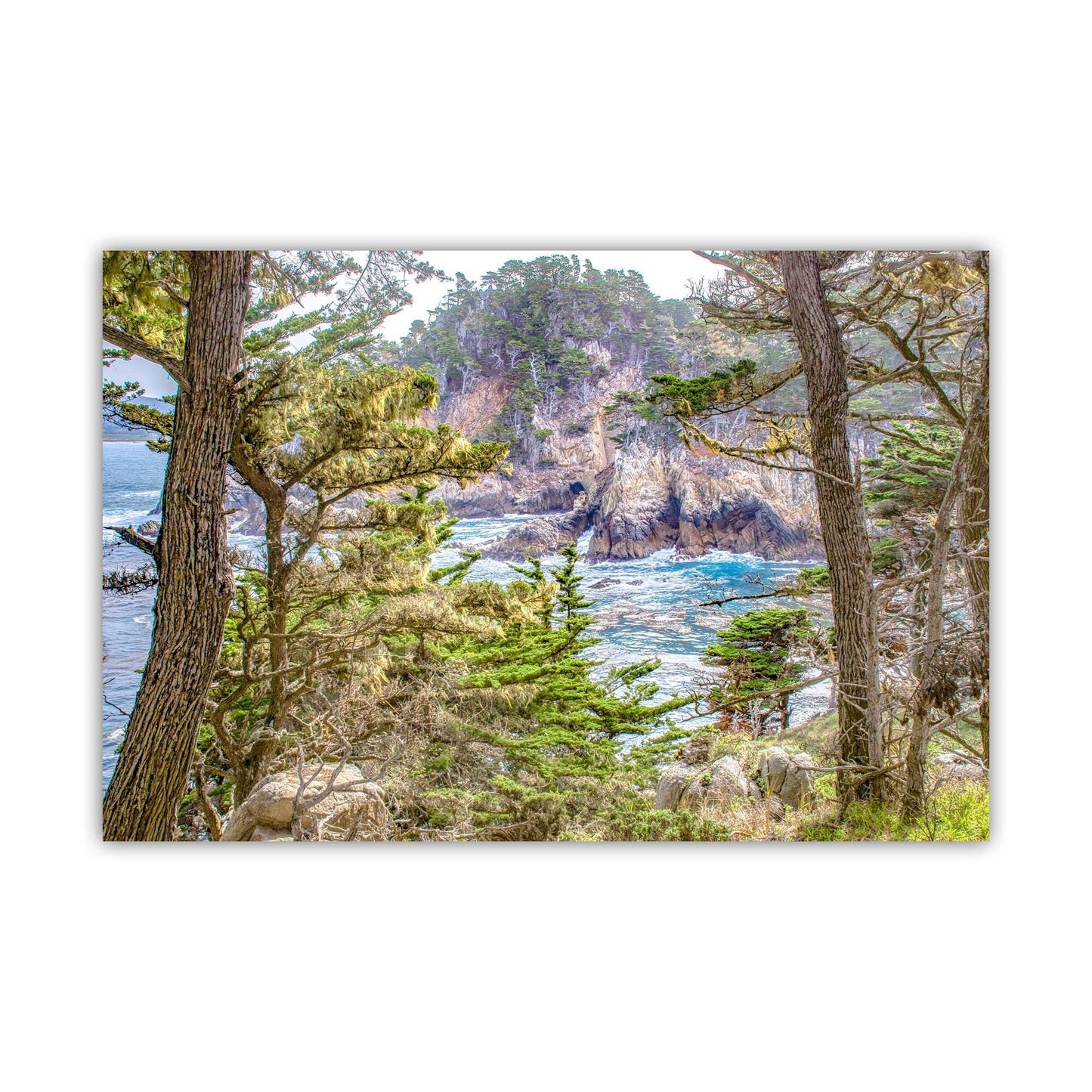Point Lobos Art Print – Carmel by the Sea Monterey Cypress Trees