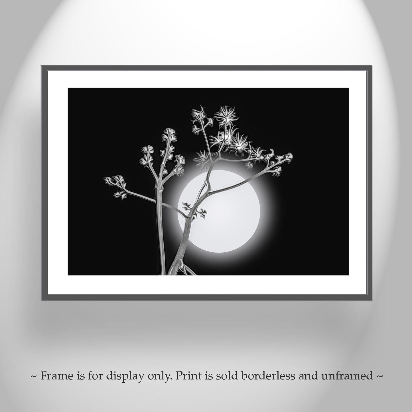 Surreal Desert Moon and Agave Art in Black and White Canvas Art Print