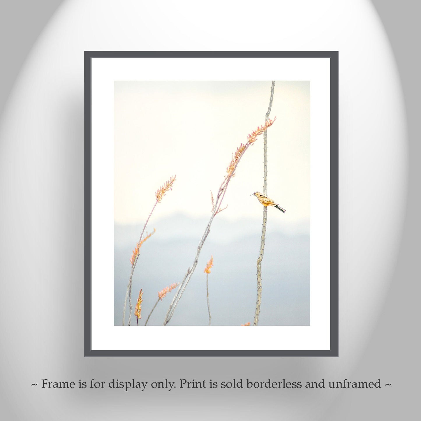 Pastel Minimalist Bird Art – Yellow Warbler on Ocotillo Print | Tucson
