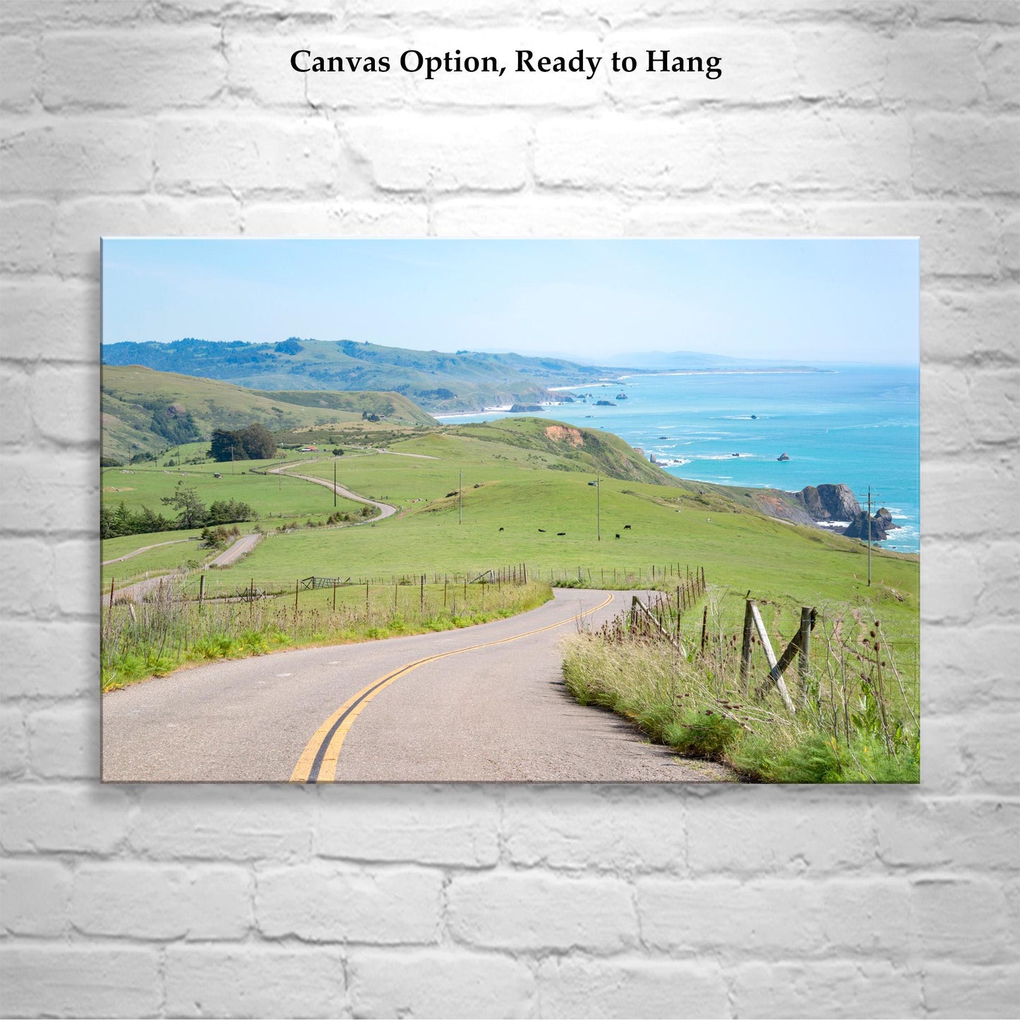 Mendocino Coast Sonoma Coast Bodega Bay Art Print
