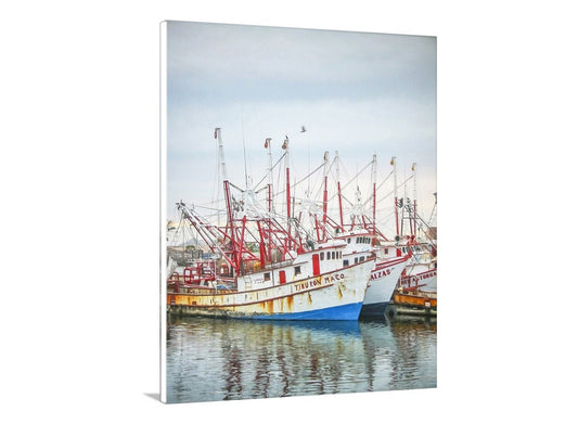 Rocky Point Mexico Puerto Peñasco Shrimp Boats Art