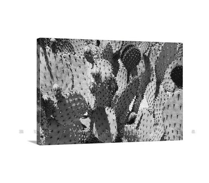 Purple Prickly Pear Cactus Art – Unique Desert Art for Home