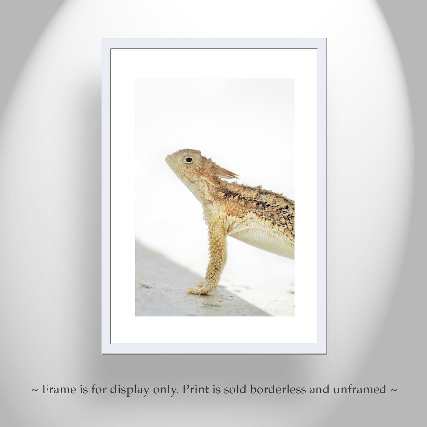 Horned Lizard Art Art Print | Minimalist Arizona Desert Reptile