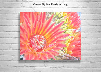 Orange Cactus Flower Wall Art – Desert Botanical Art Print