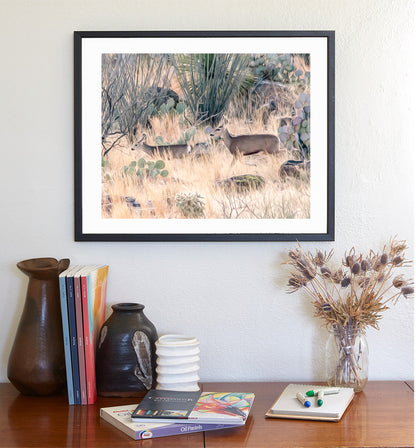 Southwest Ocotillo and Deer Art Print – Tucson Wildlife Decor