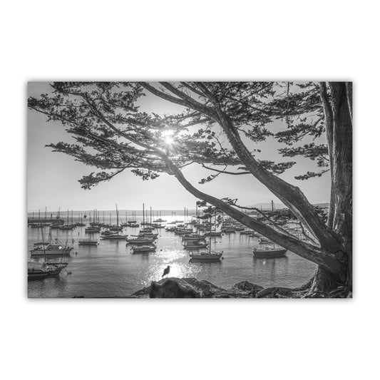 Monterey Bay Sailboat Yacht Harbor Art Print in Black and White