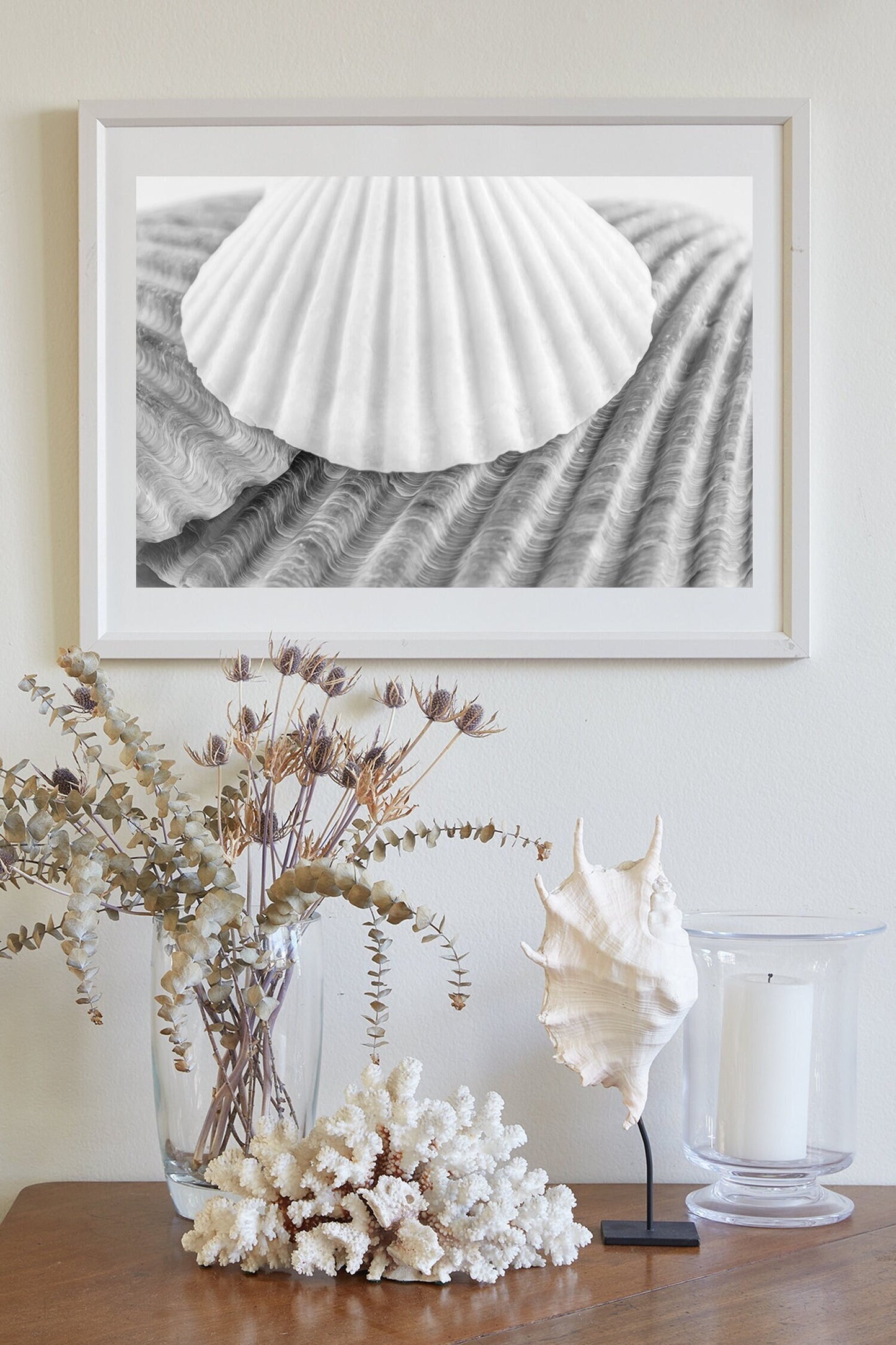 Seashells Wall Decor for Bathroom in Black and White