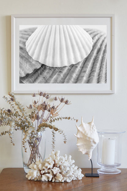 Seashells Wall Decor for Bathroom in Black and White