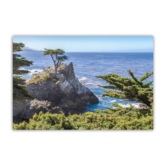 Carmel by the Sea Art Photography Print with Lone Cypress