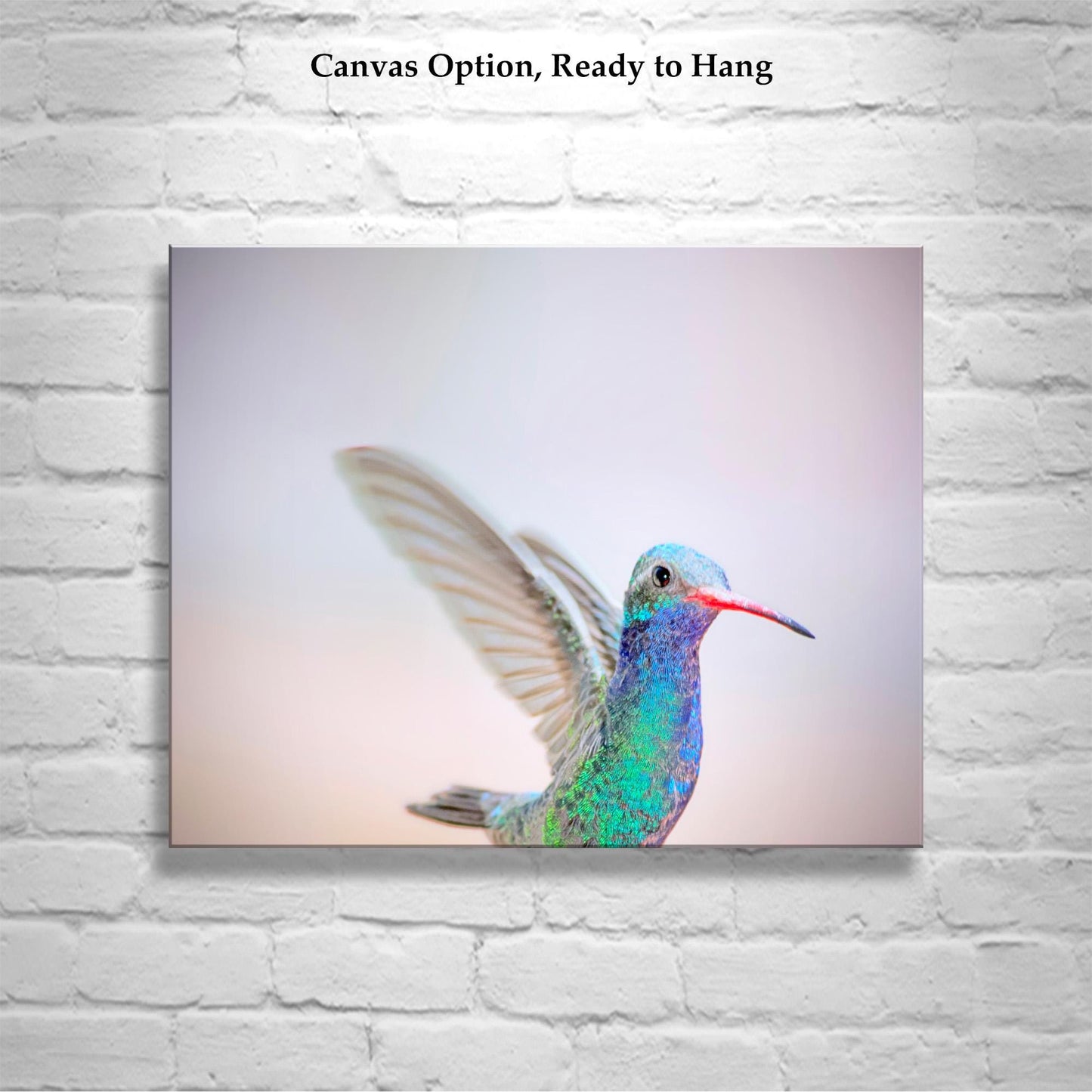 Hummingbird Art Print as Pastel Minimalist Bird Art