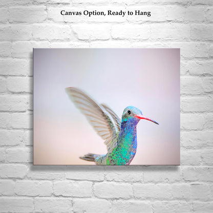 Hummingbird Art Print as Pastel Minimalist Bird Art