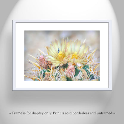 Pink Cactus Flower Art with Bee | Tucson Arizona Botanical Wall Print