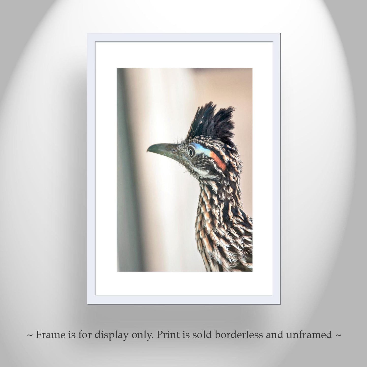 Roadrunner Bird Art Print | Arizona Desert Wildlife Print