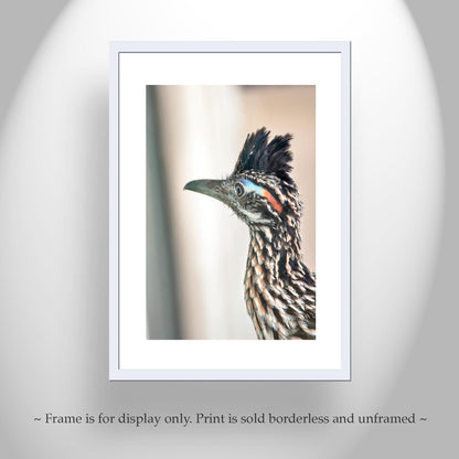Roadrunner Bird Art Print | Arizona Desert Wildlife Print