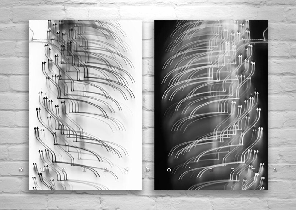 Abstract Black and White Fine Art Set of 2 Prints, Diptych