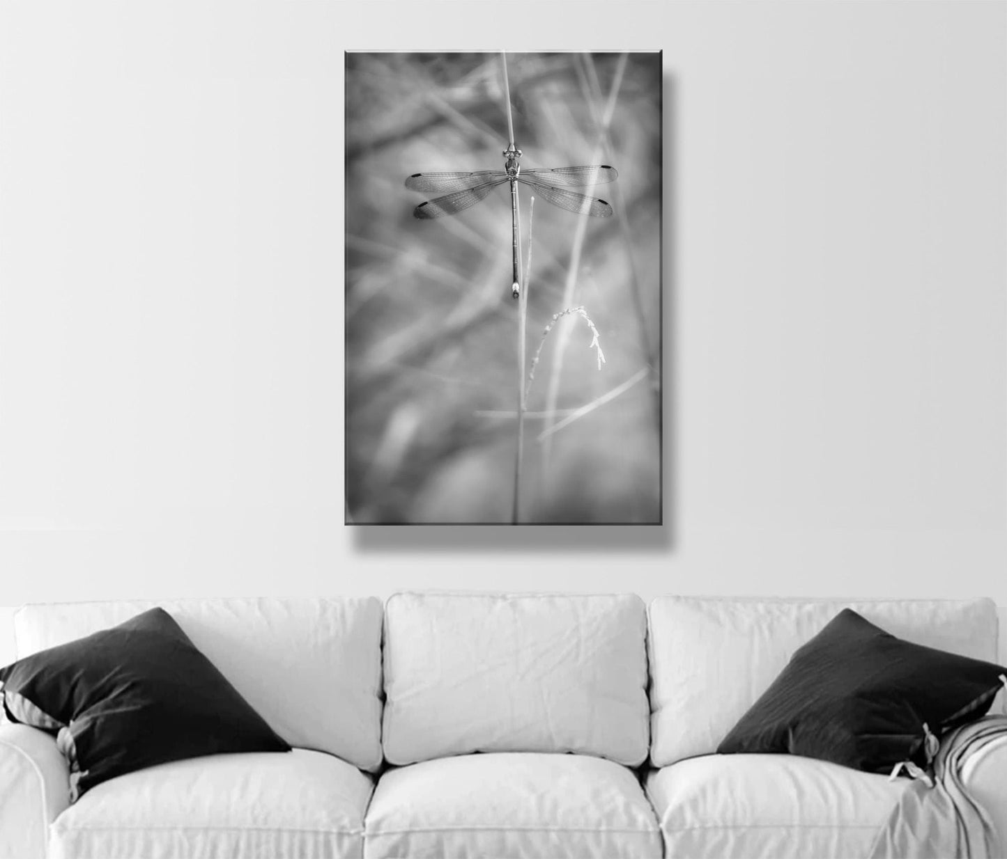 Elegant Damselfly Art Print | Black and White Fine Art