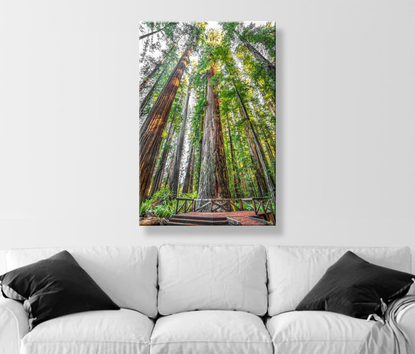Stout Grove Artwork Print – Jedediah Smith Redwoods Decor | Vertical Art